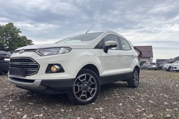1.0B 125KM przeb.110tyś bezwypadkowy stan bdb TITANIUM